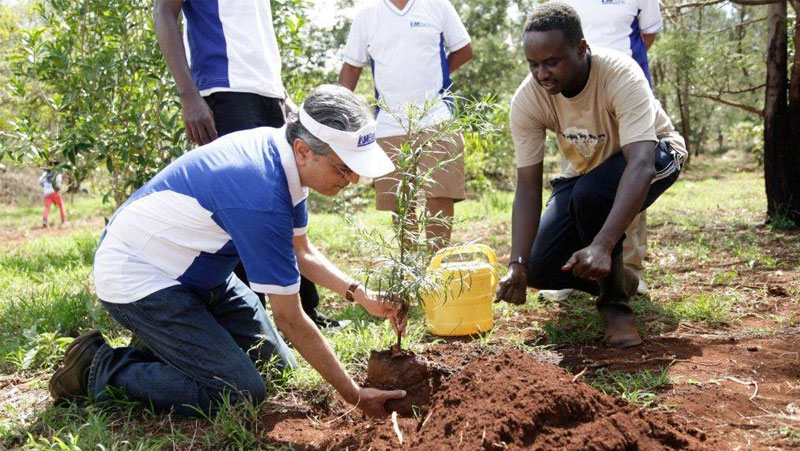 Environment- Tree Planting 2015