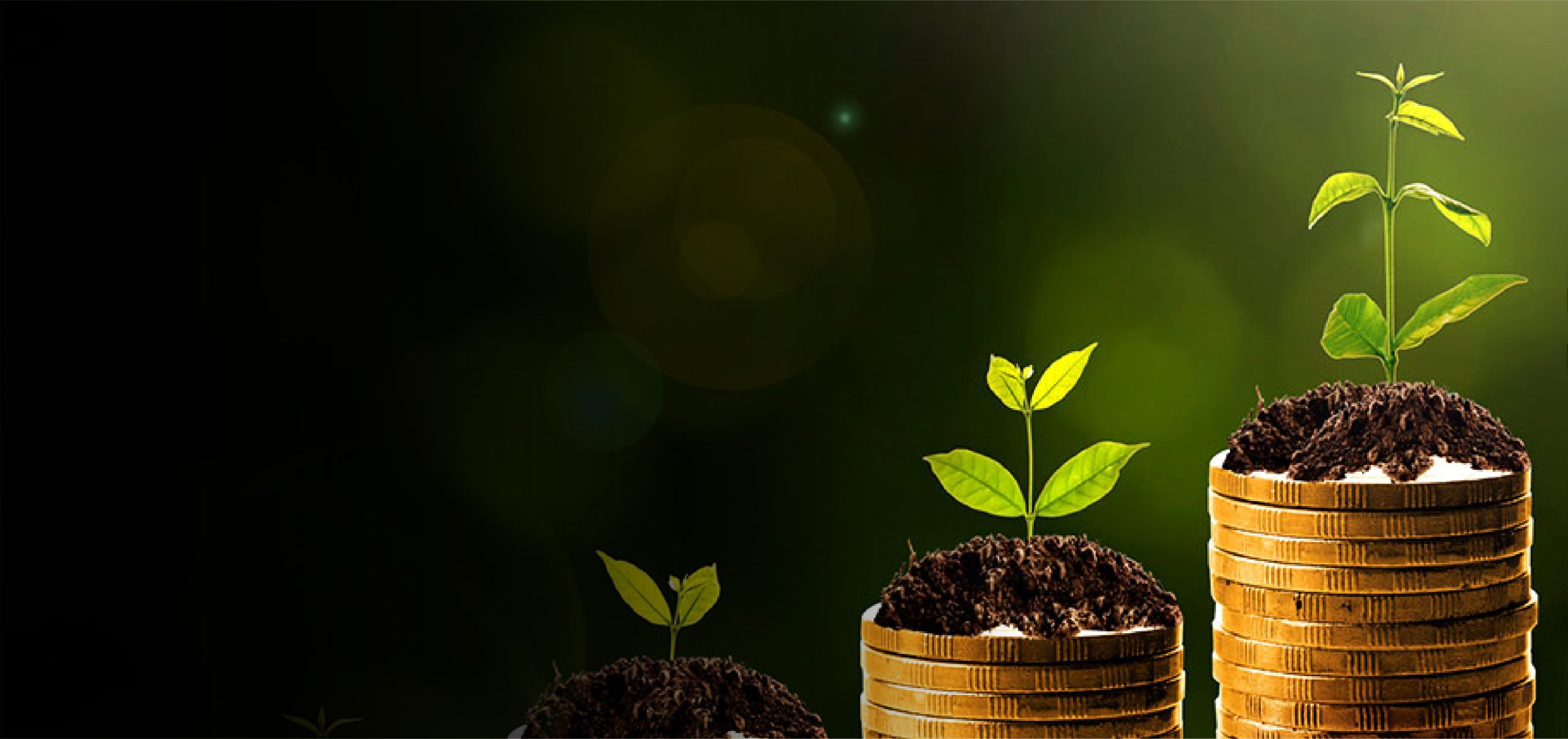 I&M Bank Kenya - I&M Capital Wealth Fund