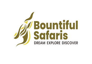 Bountiful Safaris